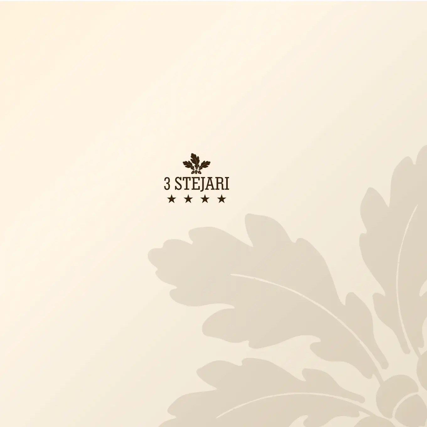 Meniu restaurant 3 stejari Brasov 2025 16