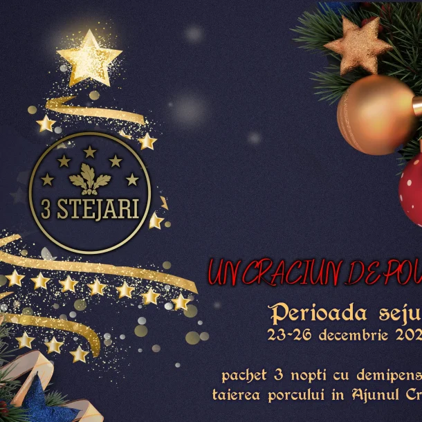oferta Craciun 2025