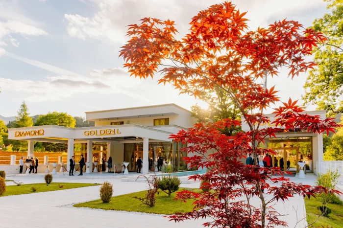 petrecere grupuri corporate brasov (5)